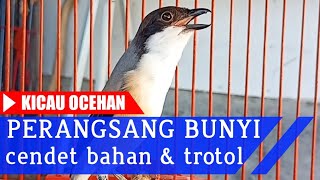 Download lagu RANGSANG BUNYI CENDET TROTOL dg SUARA CENDET GACOR FULL ISIAN Langsung Nyaut mp3 Download lagu RANGSANG BUNYI CENDET TROTOL dg SUARA CENDET GACOR FULL ISIAN Langsung Nyaut mp3