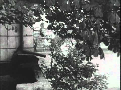 Charles Lloyd Prague 1968