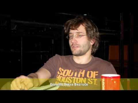 Jiří Havelka (režisér) - Režie