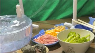 流しそうめんしますよ
