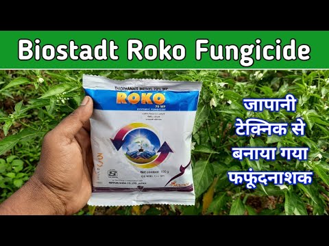 Roko Biostadt | Roko Fungicide Details information