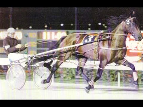 1985 Inter Dominion Grand Final telecast