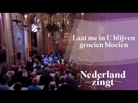 Laat m 'in U blijven, groeien, bloeien - Nederland Zingt