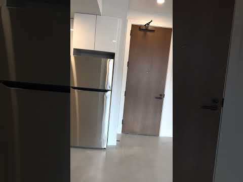 566 Columbus Ave, Boston MA unit 207 - Maloney Properties Apartments