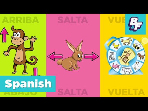 Bilingual Brain Break, Learn Spanish with BASHO & FRIENDS - Children Exercise Song