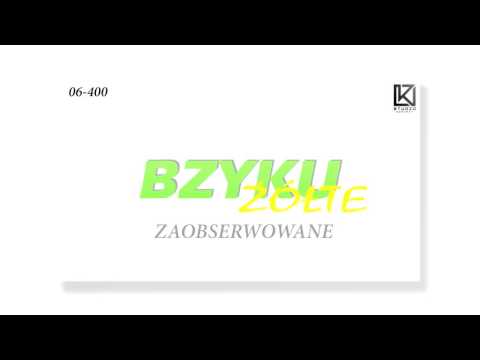 Bzyku - Zaobserwowane prod. DEFBEATS