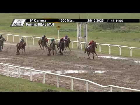 SINT COLONIA 251025 c09 - BRISA SUTIL