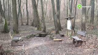 von Kossa nach Bad Düben 30 März 2022