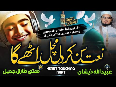 OBAIDULLAH ZEESHAN OFFICIAL and 2 more