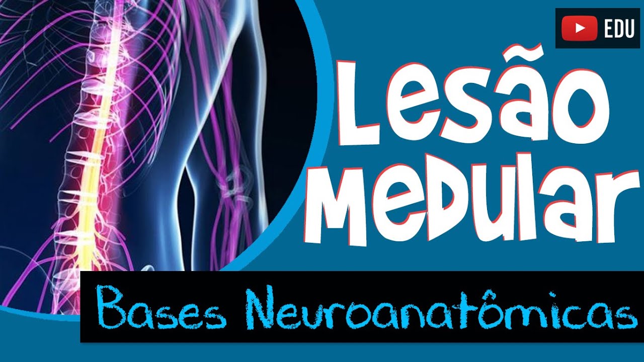 LESÃO MEDULAR - Bases Neuroanatômicas (Video Aula) - Rogério Souza