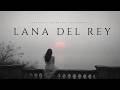 Lana Del Rey — Full Dark Symphonic Orchestra Cover | Cinematic & Emotional