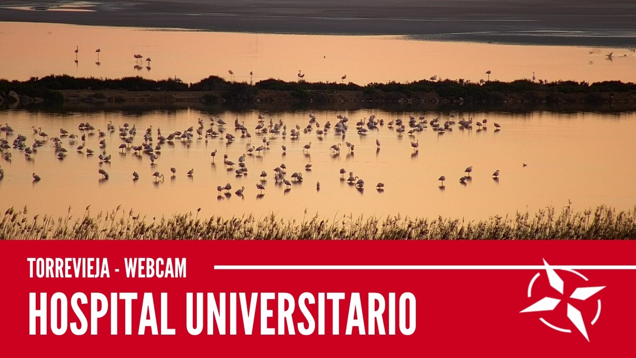 Live webcam view of Laguna de Torrevieja Pink Salt Lagoon