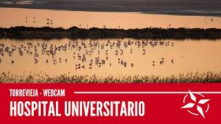 Laguna de Torrevieja. Hospital Universitario. Webcam de Torrevieja