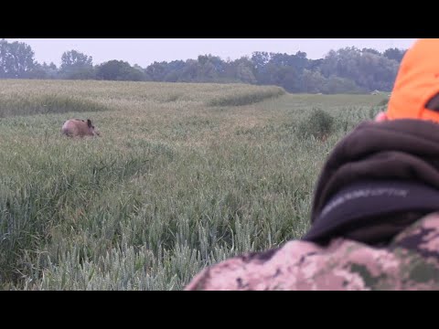 Weizenschweine 5.1 - Hunter Brothers - Trailer