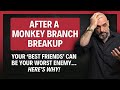 After A Monkey Branch Breakup Your Best Friends Can Be Your WORST Enemy Here S WHY