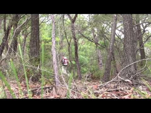 Point Clare to Woy Woy