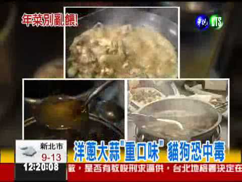 飼主年夜飯"加菜" 貓狗吃不消!