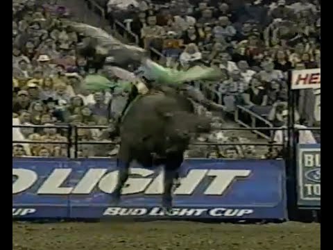 Slick Willy bucks Brian Herman - 02 PBR Columbus