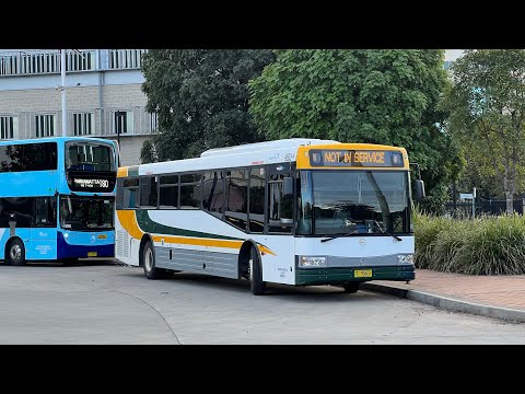 Interline Bus Services: m/o 9503 - Mercedes-Benz O500LE Bustech VST (part 2)