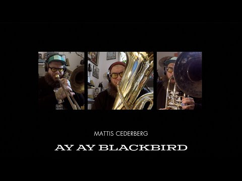 MATTIS CEDERBERG - AY AY BLACKBIRD