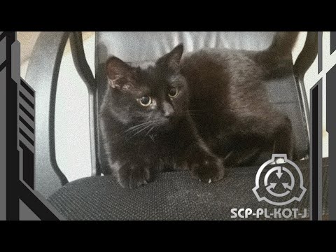 SCP-PL-KOT-J
