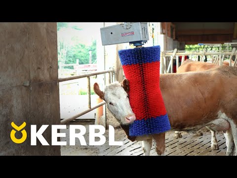 Kobørste, HappyCow Maxiswing