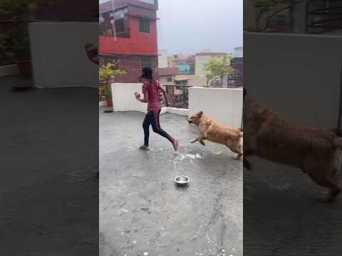 Barish me leo ne gaana gaya😂 #shorts #minivlog | Anant Rastogi