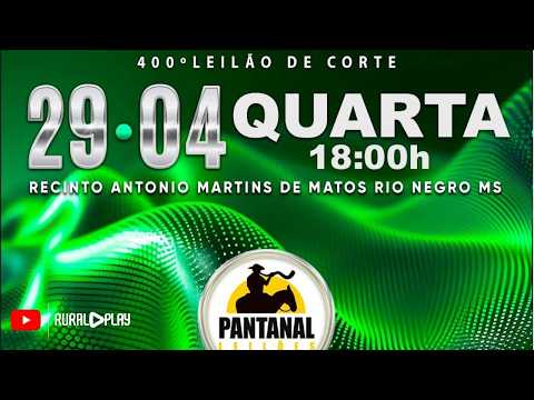 400° LEILÃO DE CORTE PANTANAL LEILÕES - RIO NEGRO/MS - RURAL PLAY