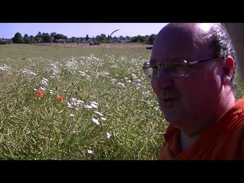 MongoTV_499 - Del 1 - John Går Tur Ned Imod Furesøen Lørdag 11.Juli 2015