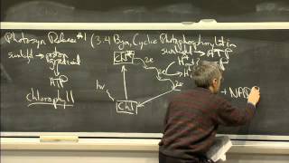 Photosynthesis | MIT 7.01SC Fundamentals of Biology