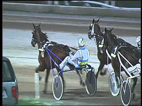 Trotto 15/10/2015 - 8° corsa TRIS