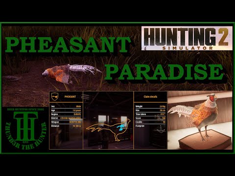 Pheasant Paradise - Hunting Simulator 2 [PC]