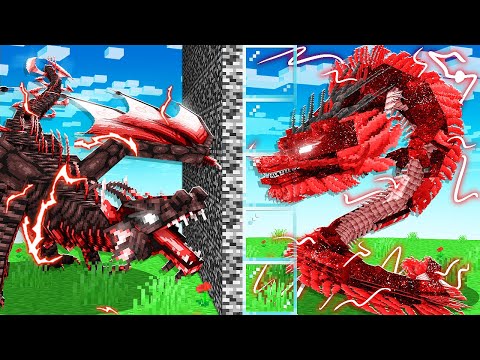 I Cheated in a DRAGON MOB BATTLE Competition!