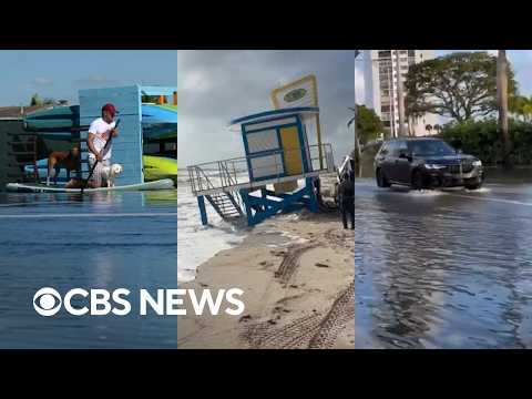 Watch: Footage of king tides seeping into neighborhoods, businesses on both coasts