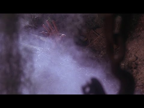 Poolside and Panama - Back To Life