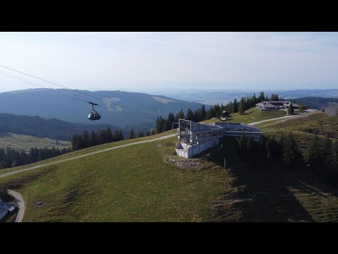 LE MOLESON (PLAN-FRANCEY)