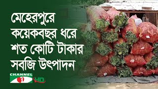 মেহেরপুরের গাংনী উপজেলায় সবজি চাষে নীরব বিপ্লব