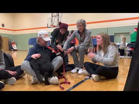 PAWSITIVITY: Therapy dogs visit OPRFHS