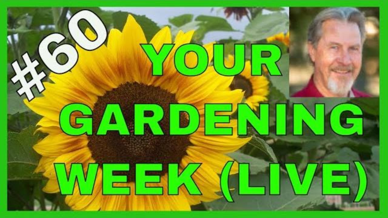 Plant Selection & Companion Planting (Q & A) - YouTube