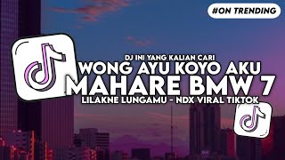 Download lagu DJ LILAKNE LUNGAMU - WONG AYU KOYO AKU MAHARE BMW PITU SLOW BASS FYP VIRAL TIKTOK mp3