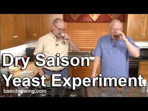Dry Saison Yeast Experiment - Basic Brewing Video - December 15, 2017