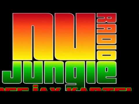 NU JUNGLE RADIO  MIX P3 MIX BY DEEJAY KARTEL (RAGGA SESSION FM)