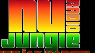 NU JUNGLE RADIO  MIX P3 MIX BY DEEJAY KARTEL (RAGGA SESSION FM)
