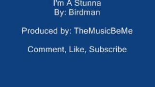 I'm A Stunna-Birdman