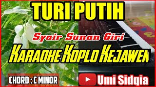 Download lagu TURI PUTIH-KARAOKE SHOLAWAT VERSI KOPLO KEJAWEN | KARAOKE SHOLAWAT KOPLO TERBARU 2021 mp3