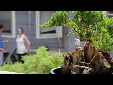 Bonsai