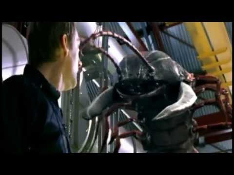 Primeval Creatures - Its my life Tribute