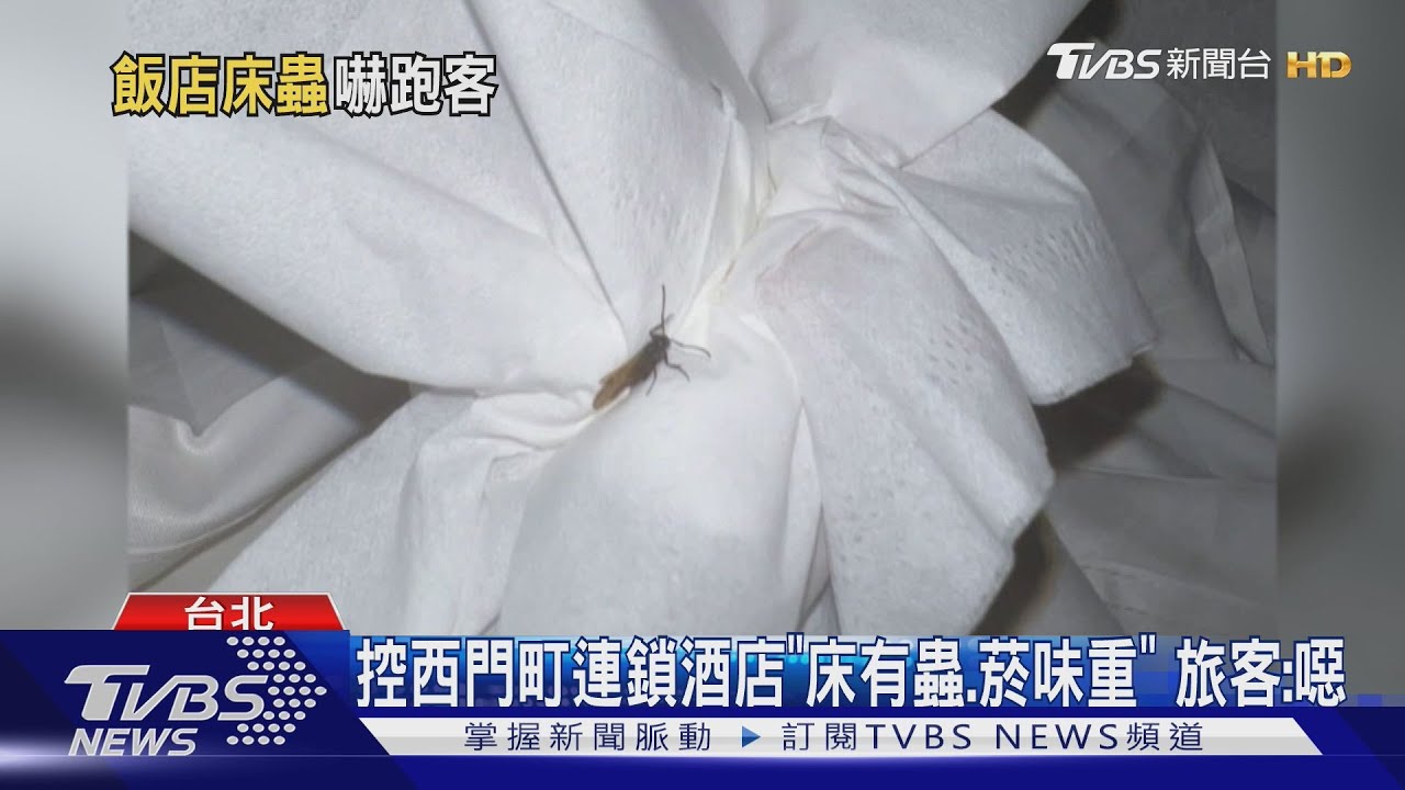 控西門町連鎖酒店「床有蟲、菸味重」旅客：噁