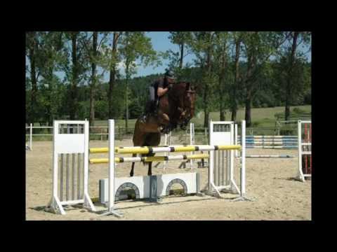 Zita, Holst, geb. 2007, Claudio'son x Contender, 125 cm platziert