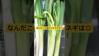 【衝撃】なんかネームプレートに先回りされてたんだけど🫨 #おすすめ #おもしろ #ヤニねこ
